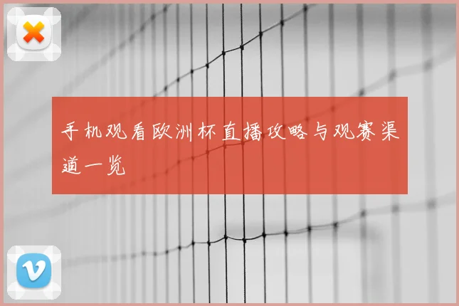 手机观看欧洲杯直播攻略与观赛渠道一览