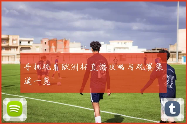 手机观看欧洲杯直播攻略与观赛渠道一览