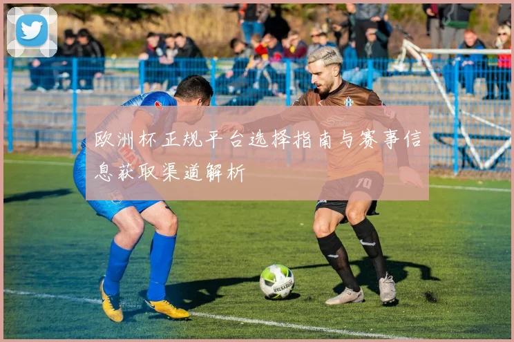欧洲杯正规平台选择指南与赛事信息获取渠道解析